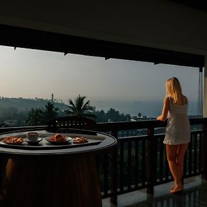 Turtle Signature Suite